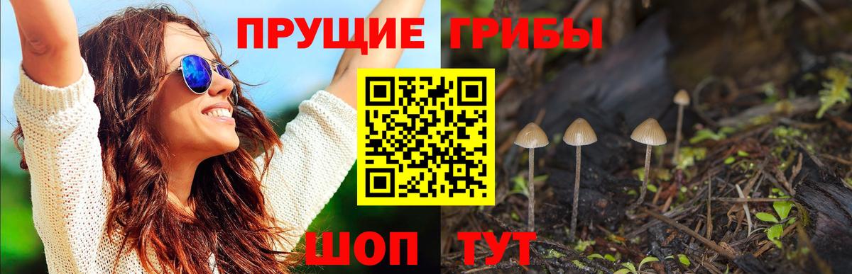 Тавда  Псилоцибиновые грибы Magic Shrooms  Вход с VPN 