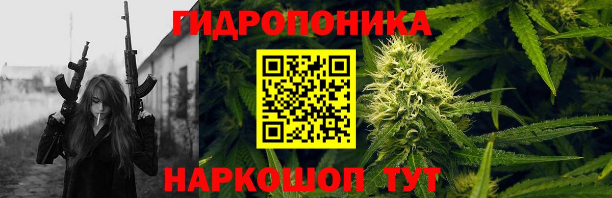 Каннабис конопля Тавда